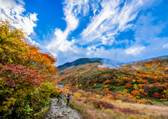 台湾向け祭りと紅葉の山旅販売ページ画像